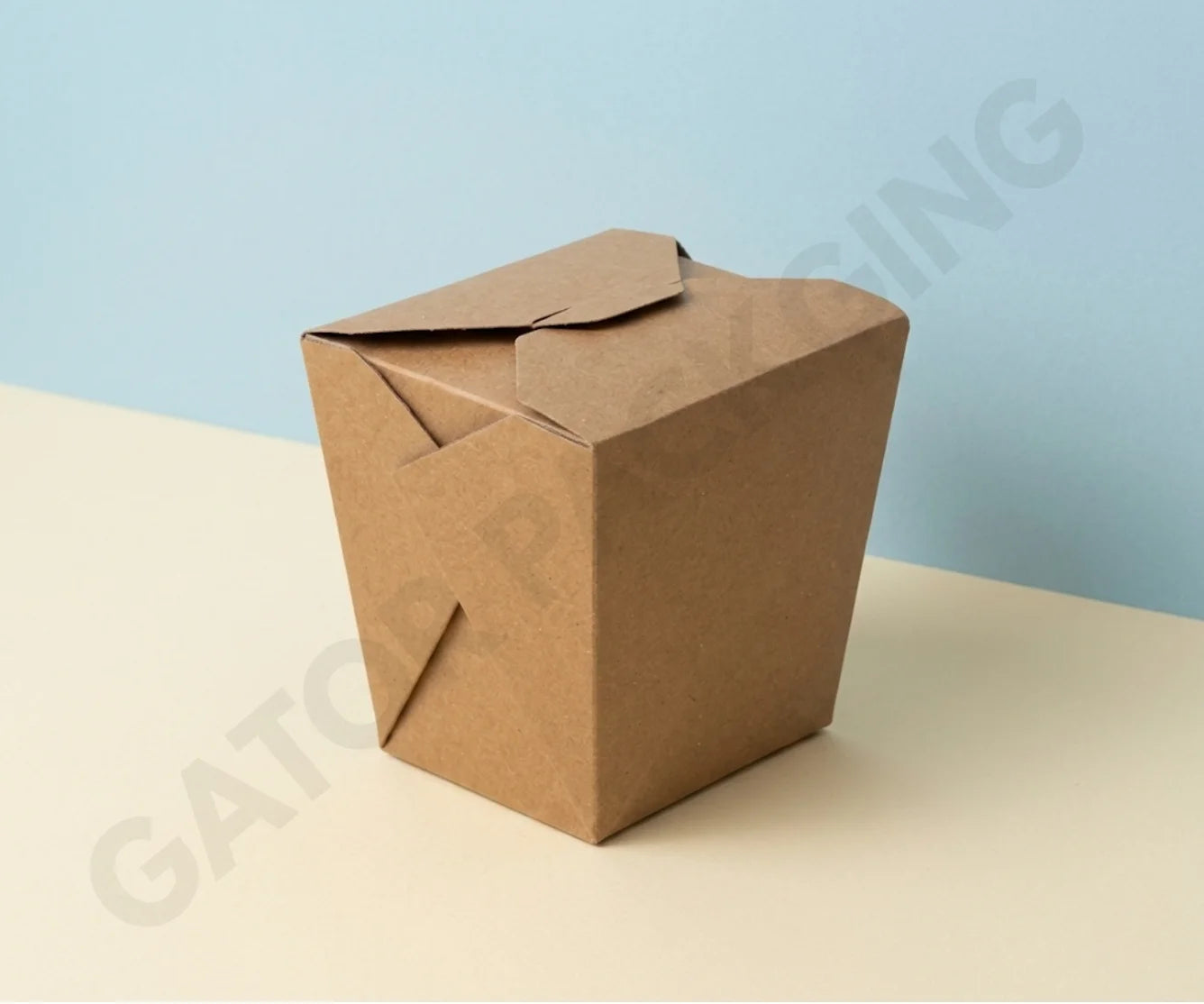 Custom Noodle Boxes