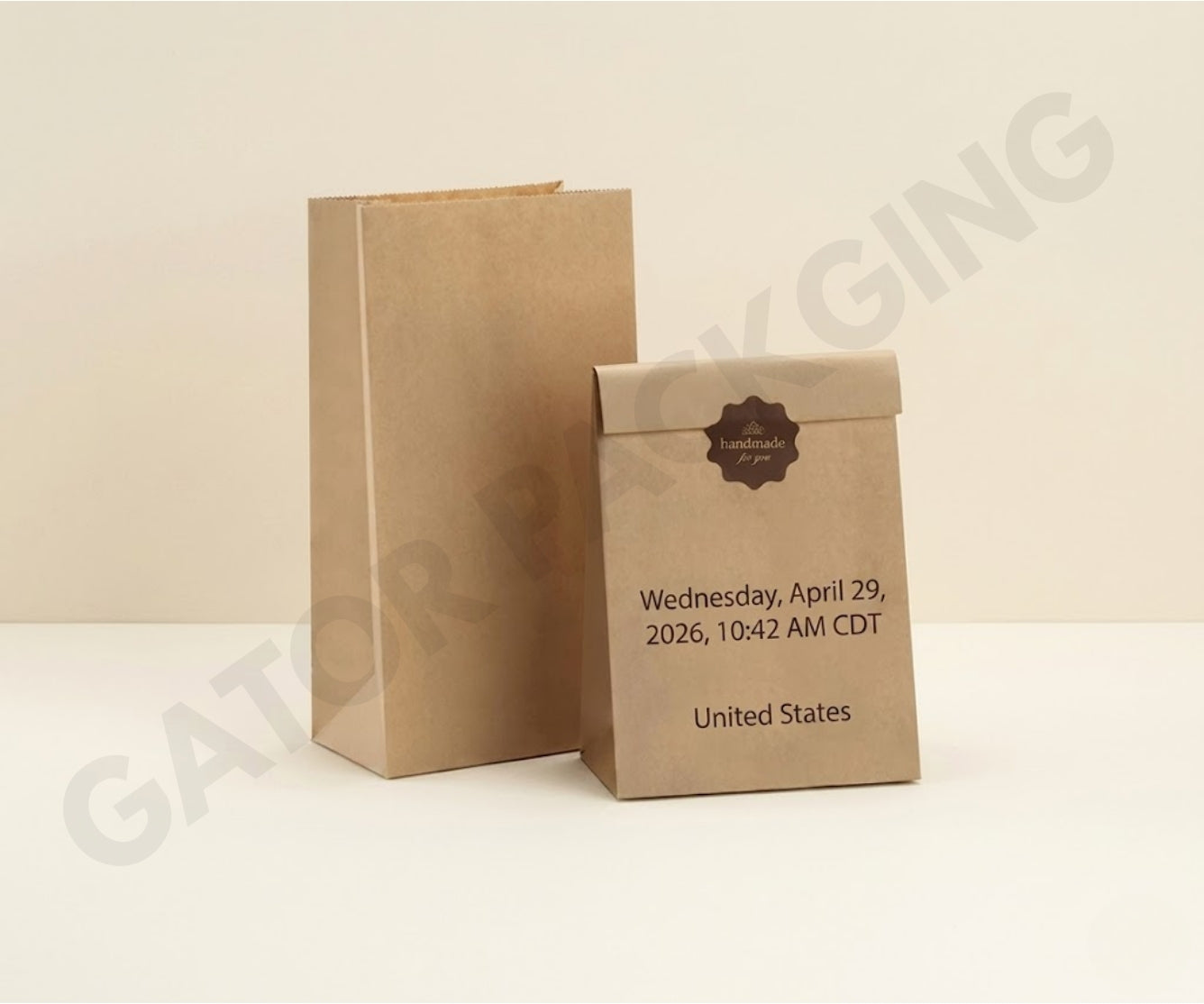 Paper-Lunch-Bags